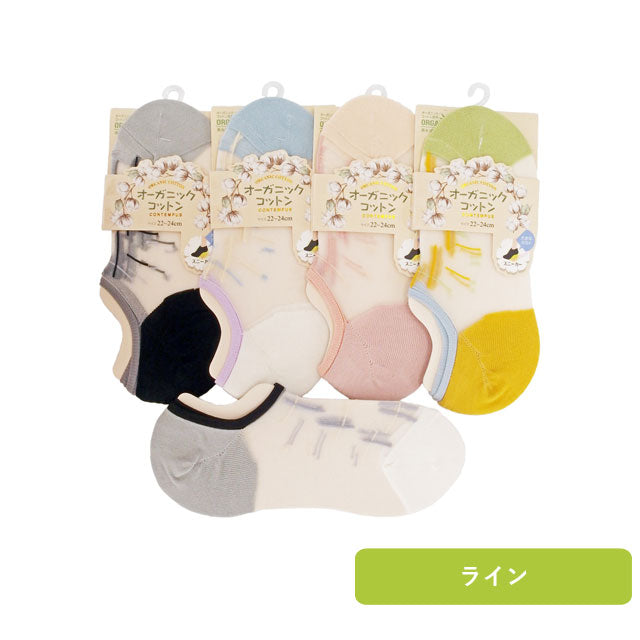 レディースシースルースニーカーソックス 3足セット 色おまかせ