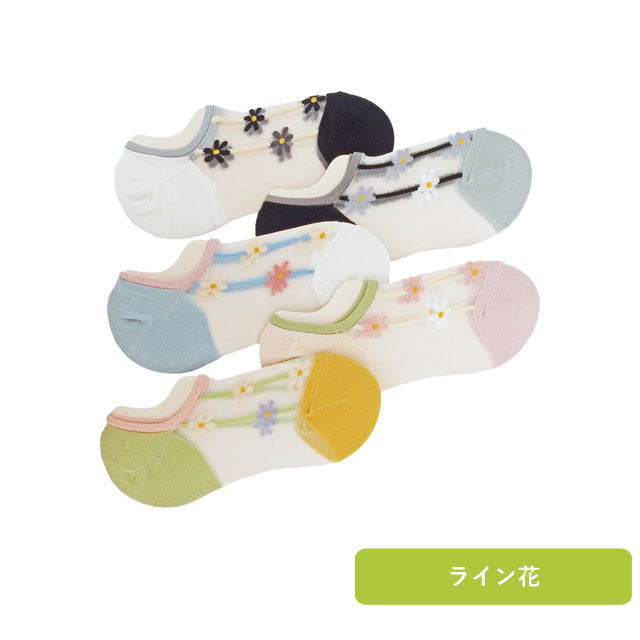 レディースシースルースニーカーソックス 3足セット 色おまかせ