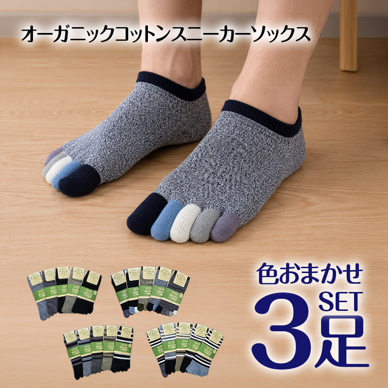 メンズ オーガニックコットン 5本指ソックス 色おまかせ3足セット 色おまかせ くるぶし丈