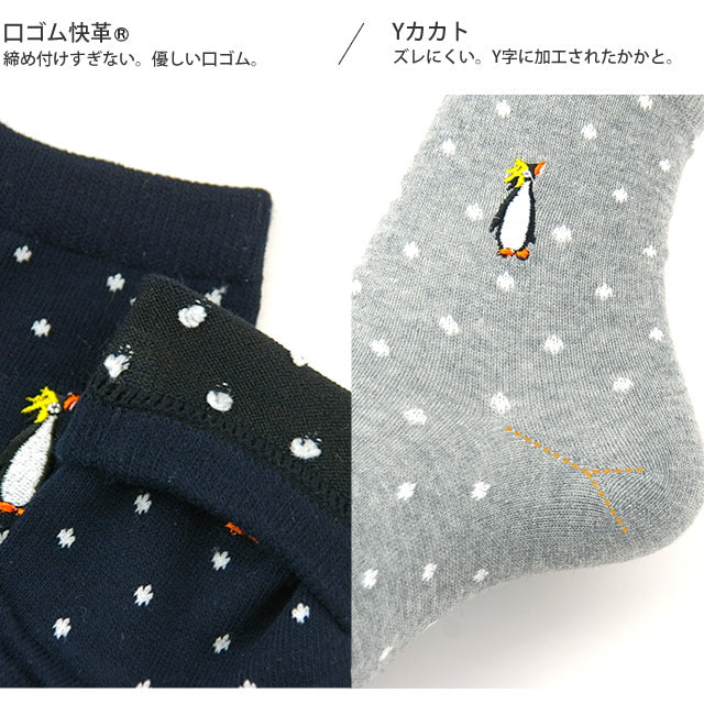 カジュアルソックス-キングペンギン4足セット