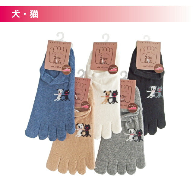 レディース5本指浅履きソックス4足セット