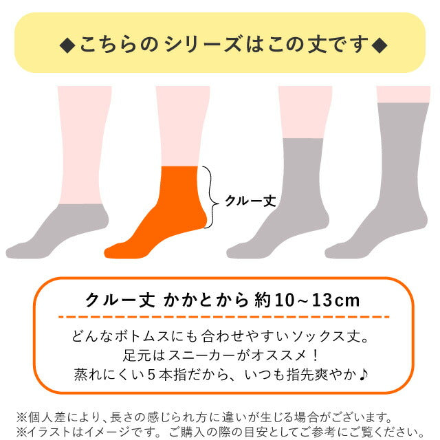 5本指ソックス レディース 4足セット カシミヤ混 色おまかせ 23cm ~ 25cm