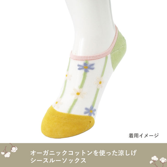 レディースシースルースニーカーソックス ３足セット 色おまかせ