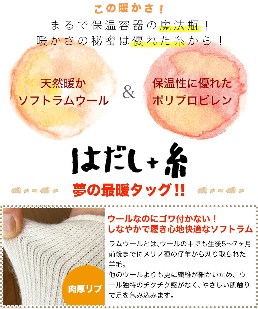 レディース 無地 サーモスパイル 同色2足セット 22-24cm
