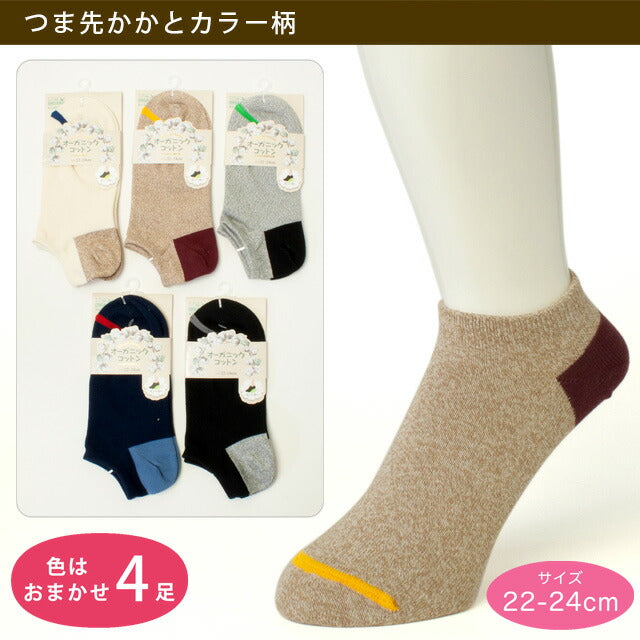 オーガニックコットンスニーカー　靴下4足セット